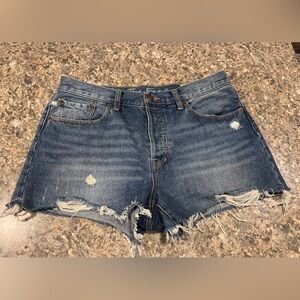 Free people button fly shorts size 31